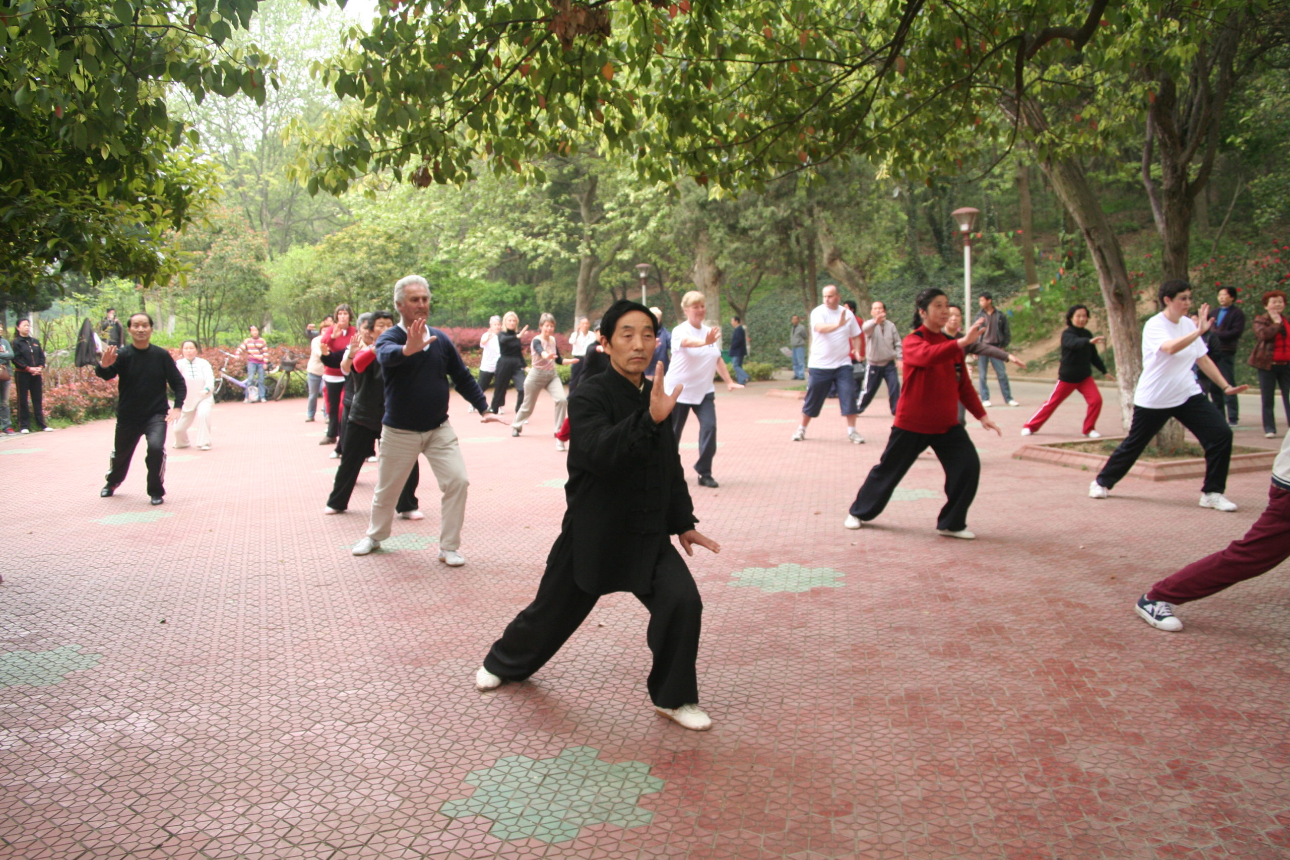 Cours de Tai chi chuan - Rouen