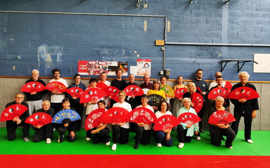 Stage éventail 2025